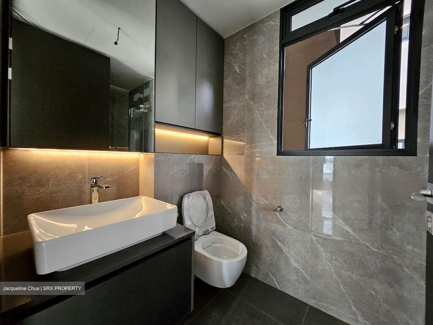 Irwell Hill Residences (D9), Apartment #443482931